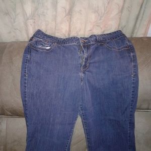 Lane Bryant Jeans
